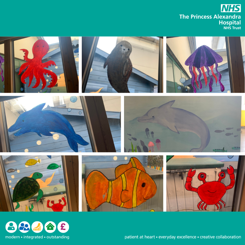 collage of scenes created by Abbie for Dolphin Ward