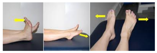 Three images of motion exercises to perform in the first 72 hours.