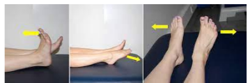 Images of foot exercises: You can commence the exercises from 5-6 weeks or when you are comfortable out of the moonboot/ air cast boot.