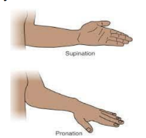 Forearm range of motion (ROM) exercises to regain movement.