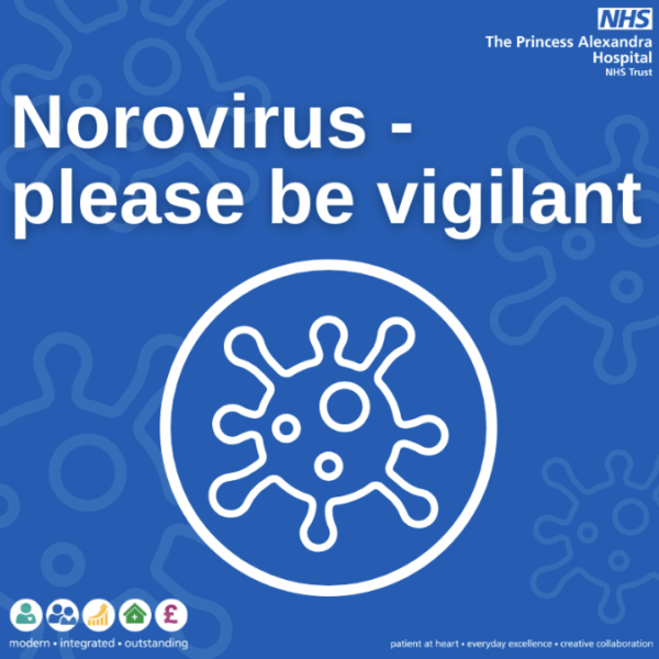 Microscopic image of the Norovirus, showing its round shape and textured surface. Used to highlight infection prevention and public health awareness.